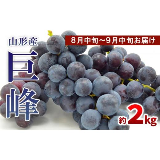 ふるさと納税 果物類 ぶどう 山形県 山形市 山形のぶどう 巨峰 秀品 約2kg(3〜6房) 8月中旬〜9月中旬お届け 令和8年産先行予約 FS24-651 くだもの 果物 フルー…