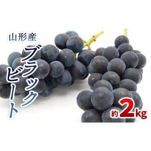 ふるさと納税 果物類 ぶどう 山形県 山形市 山形のぶどう ブラックビート 秀品 約2kg(3〜6房) 令和8年産先行予約 FS24-653 くだもの 果物 フルーツ 山形 山形…