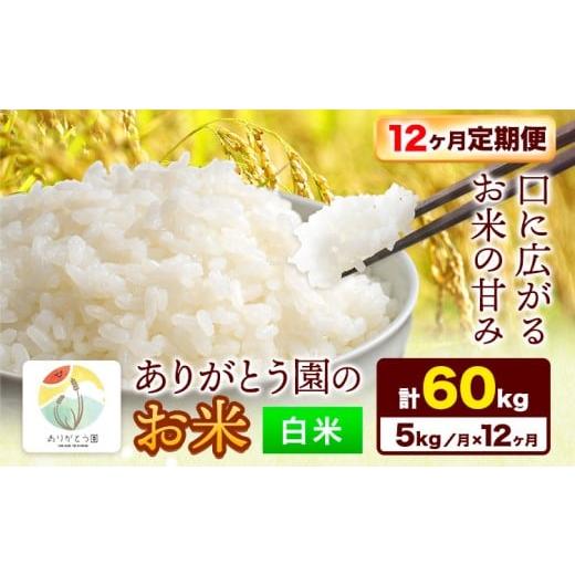 ふるさと納税 米 ヒノヒカリ 岡山県 矢掛町 12ヶ月定期便 令和7年産 米 岡山県産 ありがとう園のお米 白米 5kg ありがとう園[お申込み月の翌月から出荷開始…