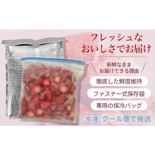 ふるさと納税 奈良県 葛城市 （冷凍）バラ凍結 冷凍いちご 1,000g （1kg） 古都華 【令和６年５月から順次発送】 ／ 丸笑いちご園 フルーツ 苺 イチゴ 果物 朝…｜furusatochoice｜06