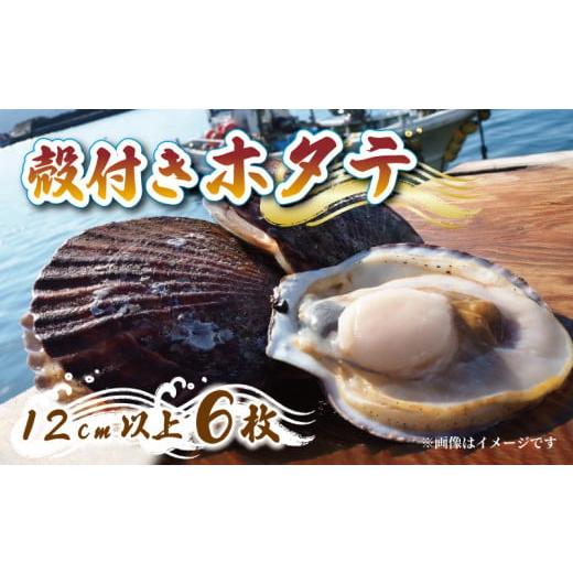 ふるさと納税 魚貝類 ホタテ 岩手県 大船渡市 三陸産 特Lサイズ 活帆立 6枚 ほたて ホタテ 帆立 刺身 おさしみ 新鮮 煮物 鍋 お鍋 バーベキュー BBQ 炙り 炙り…