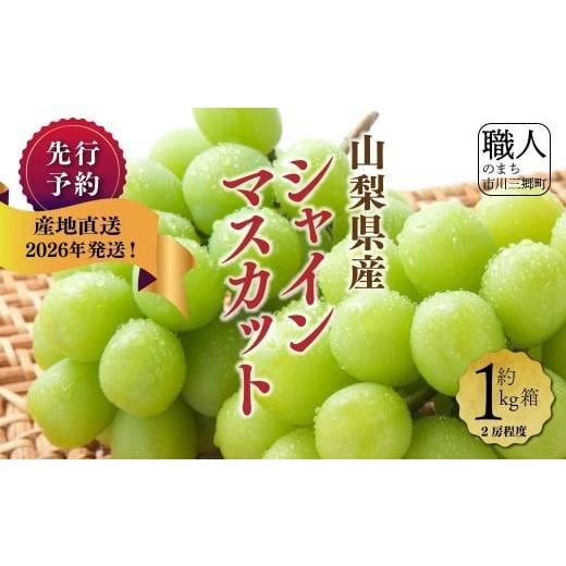 ふるさと納税 ぶどう マスカット 山梨県 市川三郷町 2026年9月上旬から発送 山梨県産シャインマスカット 1kg箱(2房程度) 丹澤農園