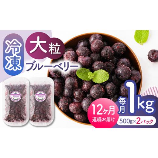 ふるさと納税 果物類 熊本県 山鹿市  先行予約 12回定期便 大粒 冷凍ブルーベリー 約1000g（約500g×2pc） 先行予約 すみれファーム 熊本県産 熊本 ブルーベリ…_1
