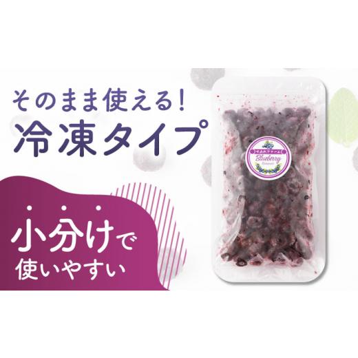 ふるさと納税 果物類 熊本県 山鹿市  先行予約 12回定期便 大粒 冷凍ブルーベリー 約1000g（約500g×2pc） 先行予約 すみれファーム 熊本県産 熊本 ブルーベリ…_3