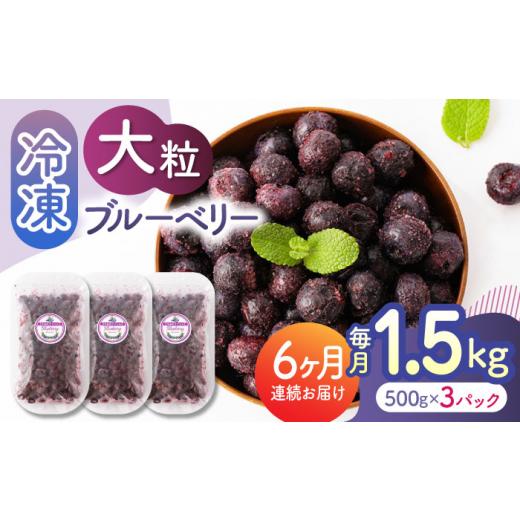 ふるさと納税 果物類 熊本県 山鹿市  先行予約 6回定期便 大粒 冷凍ブルーベリー 約1500g（約500g×3pc） 先行予約 すみれファーム 熊本県産 熊本 ブルーベリ…_1