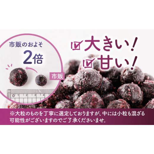 ふるさと納税 果物類 熊本県 山鹿市  先行予約 6回定期便 大粒 冷凍ブルーベリー 約1500g（約500g×3pc） 先行予約 すみれファーム 熊本県産 熊本 ブルーベリ…_2