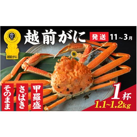 ふるさと納税 カニ ずわいガニ 福井県 福井市 感謝価格 選べる 美味しさ直送 成前特選 越前かに(1.1kg〜1.2kg)×1杯 11月〜3月発送 姿 O-028050_06 / 福…
