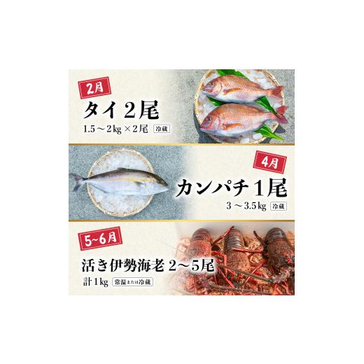 ふるさと納税 魚貝類 鯛 徳島県 海陽町  定期便全６回 海の幸まるごと定期便 クエ くえ クエ鍋 タイ たい 鯛 カンパチ かんぱち 勘八 シマアジ しまあじ 伊勢…_2