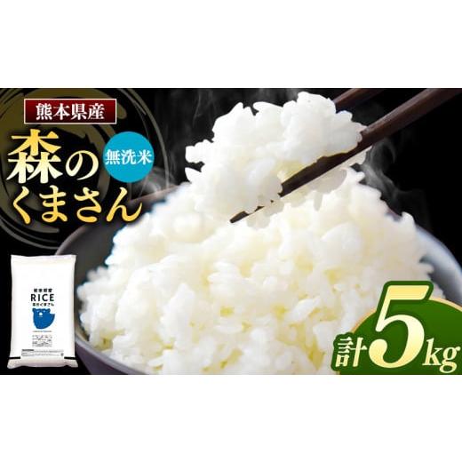 ふるさと納税 熊本県 玉名市 森のくまさん 無洗米 5kg | 米 無洗米 熊本県 玉名市 くまもと たまな