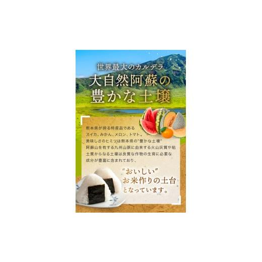 ふるさと納税 熊本県 玉名市 【定期3回】森のくまさん 無洗米 15kg （5kg×3袋）×3回 ｜ 米 森のくまさん 無洗米 熊本県 玉名市 くまもと たまな｜furusatochoice｜07