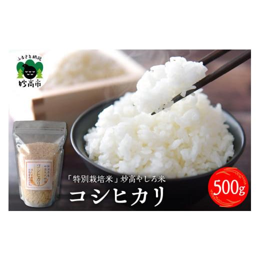 ふるさと納税 新潟県 妙高市 新潟県 妙高やしろ米 コシヒカリ500g