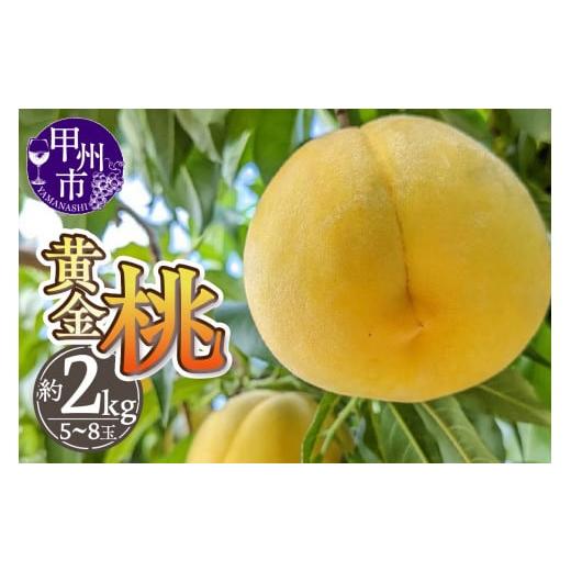 ふるさと納税 もも 山梨県 甲州市 厳選 山梨県甲州市産 黄金桃 約2kg 2026年発送 (THR)B-805 黄金桃 桃 もも モモ 令和8年発送 期間限定 山梨県産 甲州市 フ…