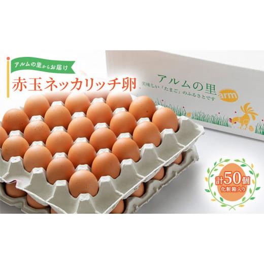 ふるさと納税 岡山県 赤磐市 卵 赤玉 ネッカリッチ卵 50個入り 鶏卵 たまご