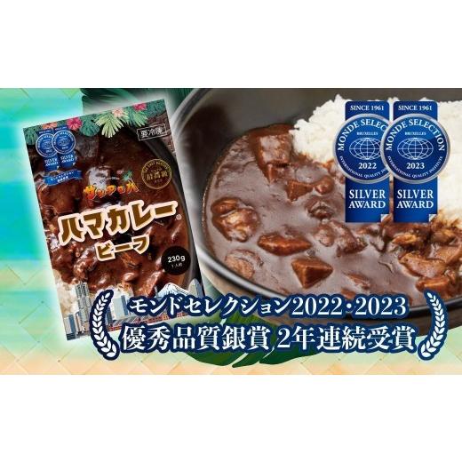 ふるさと納税 惣菜・レトルト 冷凍 神奈川県 横浜市 サンアロハ「ハマカレー?　ビーフ　6個パック」_1