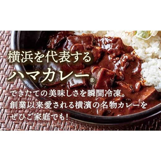 ふるさと納税 惣菜・レトルト 冷凍 神奈川県 横浜市 サンアロハ「ハマカレー?　ビーフ　6個パック」_2