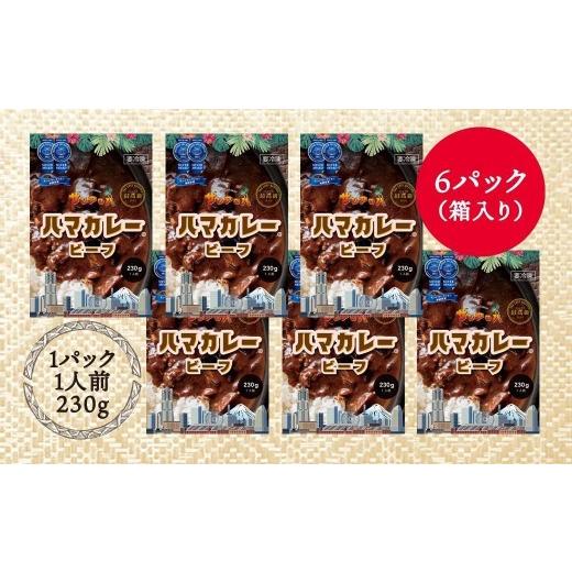 ふるさと納税 惣菜・レトルト 冷凍 神奈川県 横浜市 サンアロハ「ハマカレー?　ビーフ　6個パック」_3