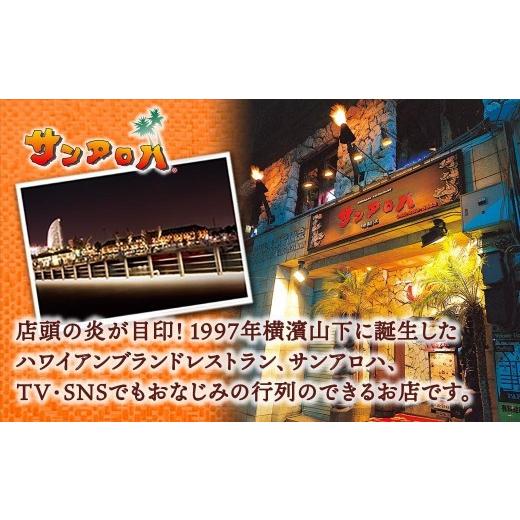 ふるさと納税 惣菜・レトルト 冷凍 神奈川県 横浜市 サンアロハ「ハマカレー?　ビーフ　6個パック」_5