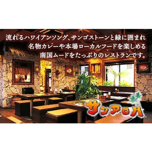 ふるさと納税 惣菜・レトルト 冷凍 神奈川県 横浜市 サンアロハ「ハマカレー?　ビーフ　6個パック」_6