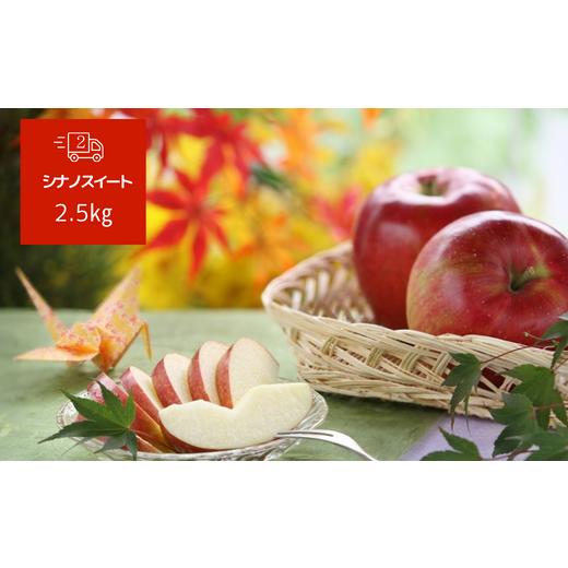 ふるさと納税 長野県 松川町 JA42-24A りんごの定期便 りんご三兄弟
