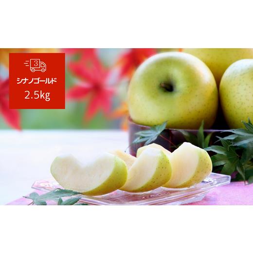 ふるさと納税 長野県 松川町 JA42-24A りんごの定期便 りんご三兄弟
