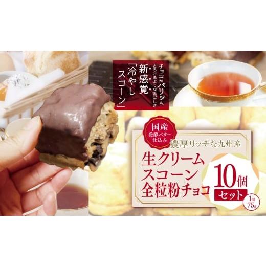 ふるさと納税 焼菓子・チョコレート 大分県 中津市 国産発酵バター香る濃厚リッチな九州産生クリームスコーン 全粒粉チョコ10個セット | お菓子 菓子 おかし …
