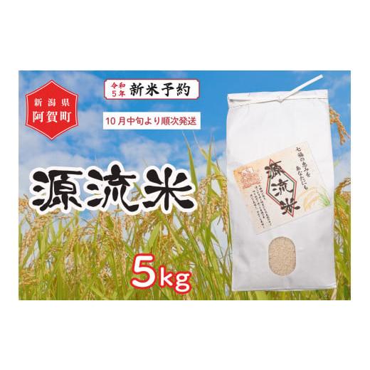 ふるさと納税 新潟県 阿賀町 [令和5年産米]源流米 コシヒカリ5kg 〜七福の恵をあなたにも〜