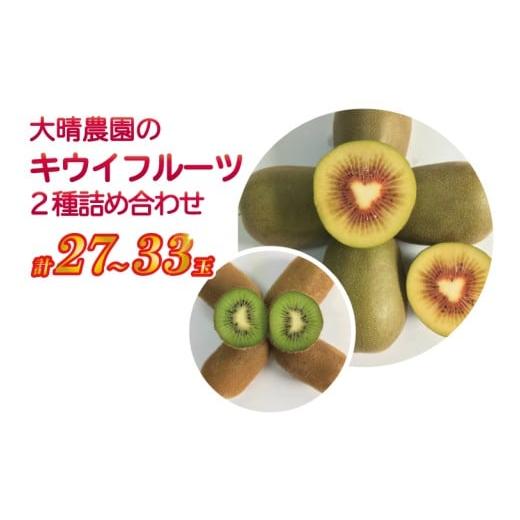 ふるさと納税 果物の詰合せ 埼玉県 春日部市 春日部市「産直の里大晴農園 内牧」キウイフルーツ2種詰め合わせ 27〜33玉入り 本州限定 (BY003-3)