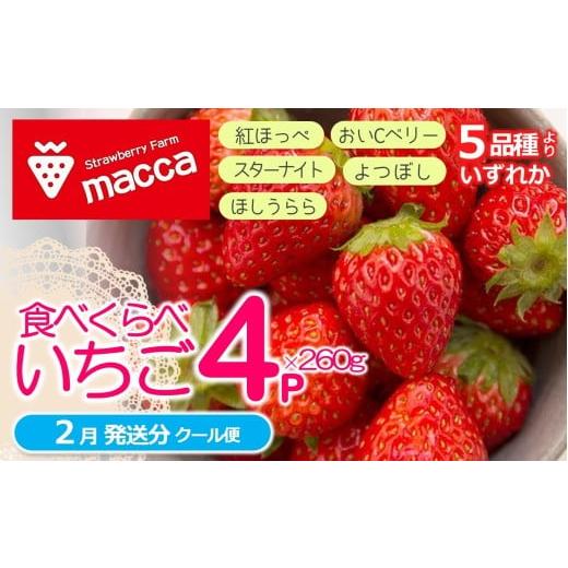 ふるさと納税 いちご 兵庫県 西脇市 「ひょうご推奨ブランド」認証「西脇市産いちご4種セット」(1箱4パック)〜いちご畑macca〜(11-47) 令和8年2月上旬…