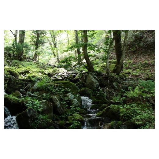 ふるさと納税 岡山県 西粟倉村 【3回定期便】白米 10kg 令和6年産 コシヒカリ 岡山 あわくら源流米 K-ag-BDZA 