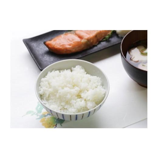 ふるさと納税 岡山県 西粟倉村 【3回定期便】白米 10kg 令和6年産 コシヒカリ 岡山 あわくら源流米 K-ag-BDZA 