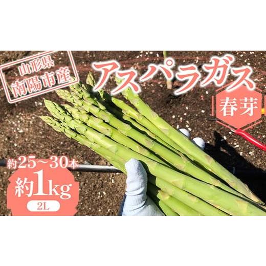 ふるさと納税 野菜類 アスパラガス 山形県 南陽市 令和8年産先行予約 アスパラガス (春芽) 約1kg (2Lサイズ 約25〜30本前後) [令和8年5月上旬〜発送] …