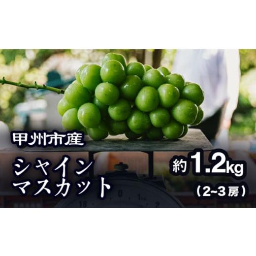 ふるさと納税 ぶどう マスカット 山梨県 甲州市 農家厳選 甲州市産 シャインマスカット 約1.2kg 2026年発送 (PJ)B-188 シャインマスカット 葡萄 ぶどう ブ…