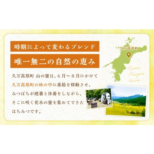ふるさと納税 加工品等 はちみつ 愛媛県 - 久万高原町 山の蜜 1000g みつばちのダンス 久万高原町産 純粋 蜂蜜 ハチミツ 天然はちみつ 国産 愛媛県 えひめの町…_4