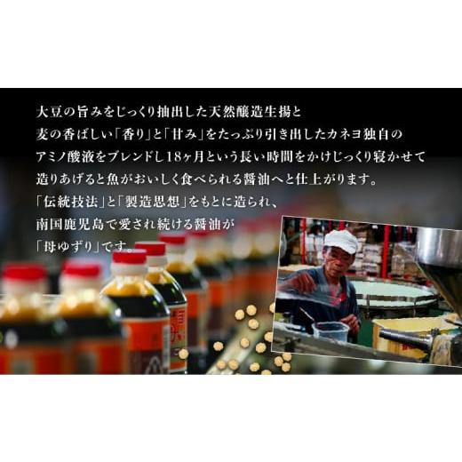 ふるさと納税 醤油 濃口 鹿児島県 鹿児島市  5営業日以内に発送 「かねよみそしょうゆ」南国かごしまの蔵元直送 母ゆずり濃口 500ml×6本セット K058-007_01の画像