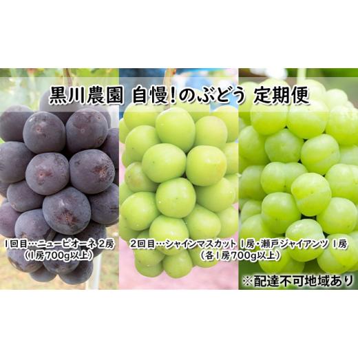【ラスト1点】 ふるさと納税 岡山県 美咲町 [No.5757-0422]ぶどう 2024年 先行予約 定期便 2回 先行予約 黒川農園 自慢！の 大粒 大房 ニューピオーネ 2房 シャインマスカッ… 【MYK8617960009】(30360円)