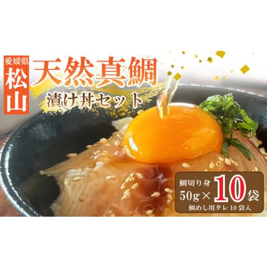 ふるさと納税 魚貝類 鯛 愛媛県 松山市 通常発送 天然真鯛 漬け丼セット 50g × 10パック | 鯛めし 宇和島風鯛めし 冷凍 加工品 鯛 小分け 海鮮 漬け丼 海鮮…