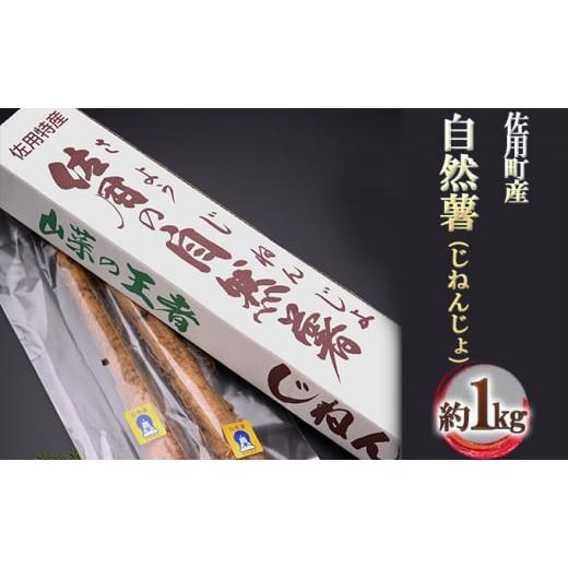 ふるさと納税 野菜類 兵庫県 佐用町 佐用町産 自然薯(じねんじょ)約1kg