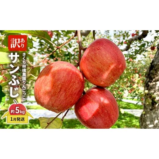 ふるさと納税 りんご 青森県 板柳町 きくち林檎農園りんごっこ 家庭用 大玉 サンふじ 訳あり 約5kg 果物 フルーツ デザート おやつ 食後 香り高い