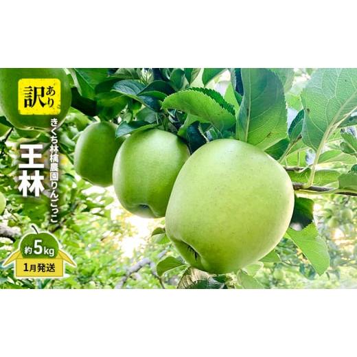 ふるさと納税 りんご 青森県 板柳町 きくち林檎農園りんごっこ 家庭用 大玉 王林 訳あり 約5kg 果物 フルーツ デザート 食後 甘みが強い