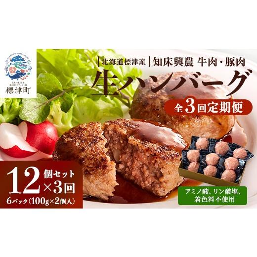 ふるさと納税 牛肉 ハンバーグ 北海道 標津町 全3回 定期便 北海道産 生 ハンバーグ 12個 (6パック) セット ( 1パック 100g ×2 ) 国産 無添加 おすすめ 保存…_1