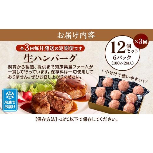ふるさと納税 牛肉 ハンバーグ 北海道 標津町 全3回 定期便 北海道産 生 ハンバーグ 12個 (6パック) セット ( 1パック 100g ×2 ) 国産 無添加 おすすめ 保存…_4