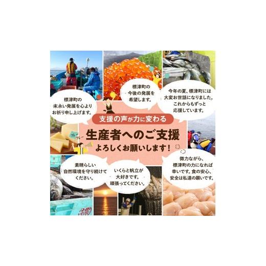 ふるさと納税 牛肉 ハンバーグ 北海道 標津町 全3回 定期便 北海道産 生 ハンバーグ 12個 (6パック) セット ( 1パック 100g ×2 ) 国産 無添加 おすすめ 保存…_5