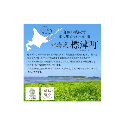 ふるさと納税 牛肉 ハンバーグ 北海道 標津町 全3回 定期便 北海道産 生 ハンバーグ 12個 (6パック) セット ( 1パック 100g ×2 ) 国産 無添加 おすすめ 保存…_7