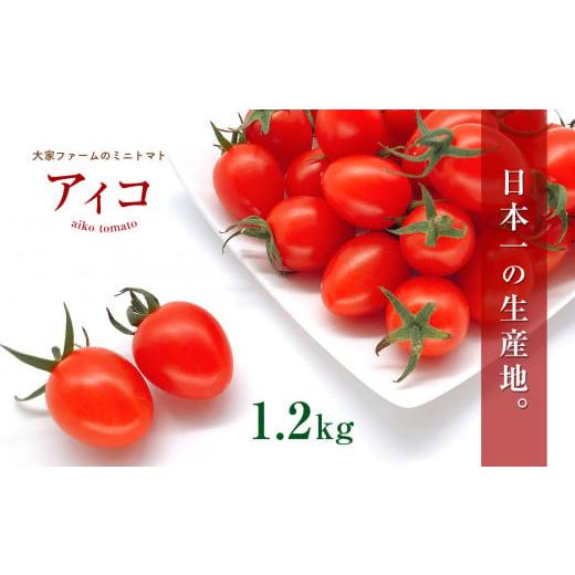 ふるさと納税 熊本県 玉名市 『大家ファーム』のミニトマト アイコ 1.2kg 熊本県玉名