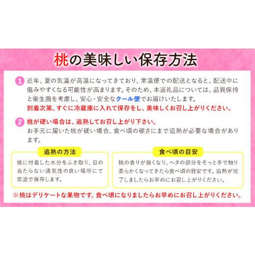 ふるさと納税 和歌山県 日高町 桃 もも 紀州 和歌山産 の 桃 3玉 化粧箱入 魚鶴商店《2024年7月上旬-8月末頃発送》 和歌山県 日高町 贈り物 ギフト｜furusatochoice｜06