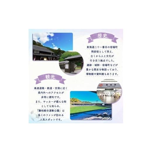 ふるさと納税 雑貨・日用品 静岡県 藤枝市 木製 ごみ箱 ウォールナット 蓋付き Mサイズ SAITOWOOD 藤枝家具 日用品 おしゃれ 家具 雑貨 木材 木工 インテリア …の画像