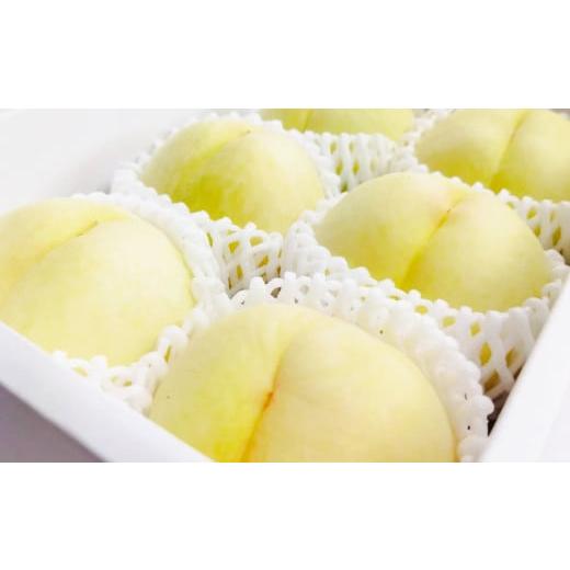ふるさと納税 もも 岡山県 倉敷市 先行予約 岡山白桃 約1.5kg(6玉前後) 2026年7月上旬〜7月下旬迄順次発送予定 もも 桃 清水白桃 白桃 果物 フルーツ 国産 …