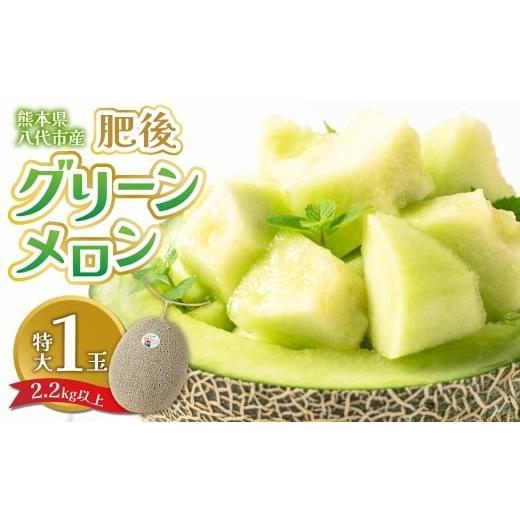 ふるさと納税 メロン メロン青肉 熊本県 八代市 先行予約 熊本県八代市産 肥後グリーンメロン 特大1玉 (2.2kg以上) メロン めろん 果物 くだもの フルーツ デ…