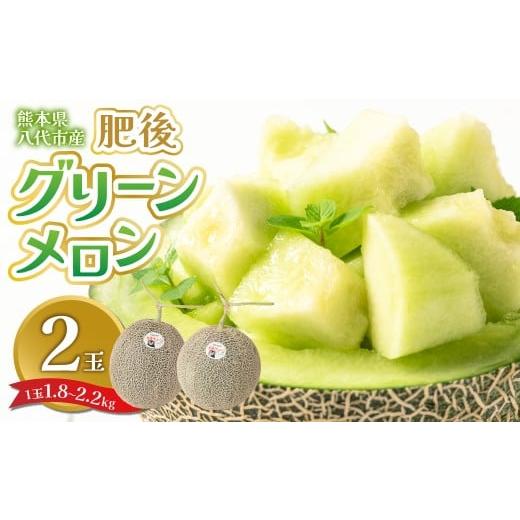 ふるさと納税 メロン メロン青肉 熊本県 八代市 先行予約 熊本県八代市産 肥後グリーンメロン 2玉 (1玉1.8kg〜2.2kg) メロン めろん 果物 くだもの フルーツ …