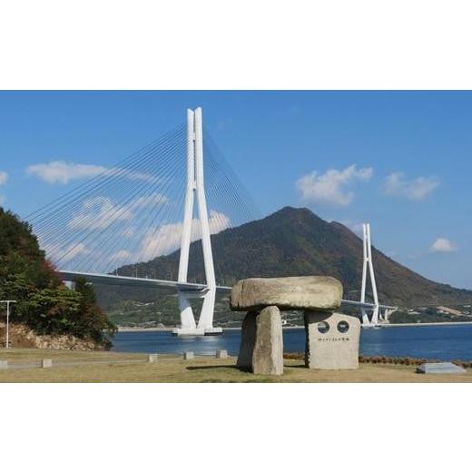 ふるさと納税 体験チケット 広島県 尾道市 瀬戸内しまなみ海道 多々羅大橋塔頂体験 令和8年4月28日(火)10:20〜 体験日 令和8年4月28日(火)10:20〜